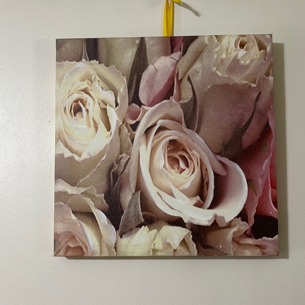 Rose canvas medium wall prints